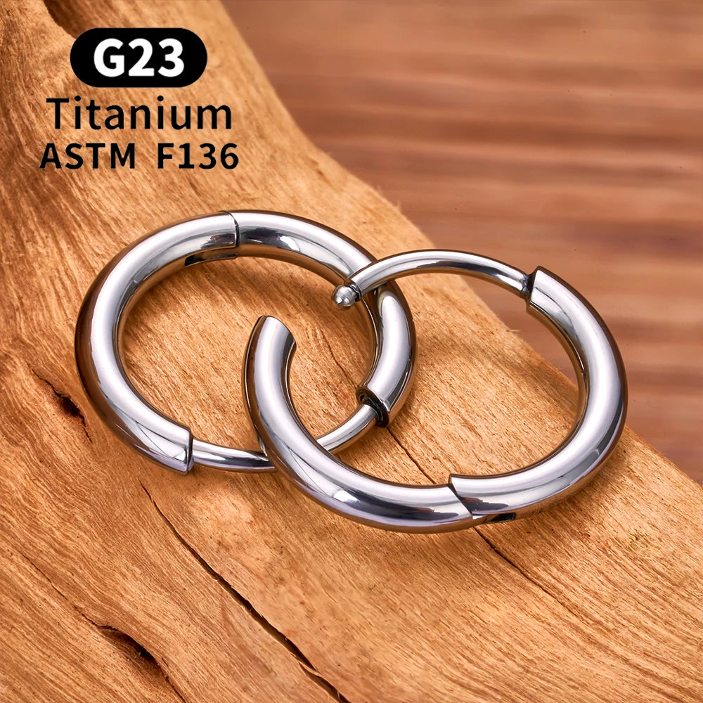 G23 Titanium Hoop Earrings CZ Hinged Segment Round Nose Ring for Women Ear Tragus Cartilage Helix Daith Piercing Jewelry
