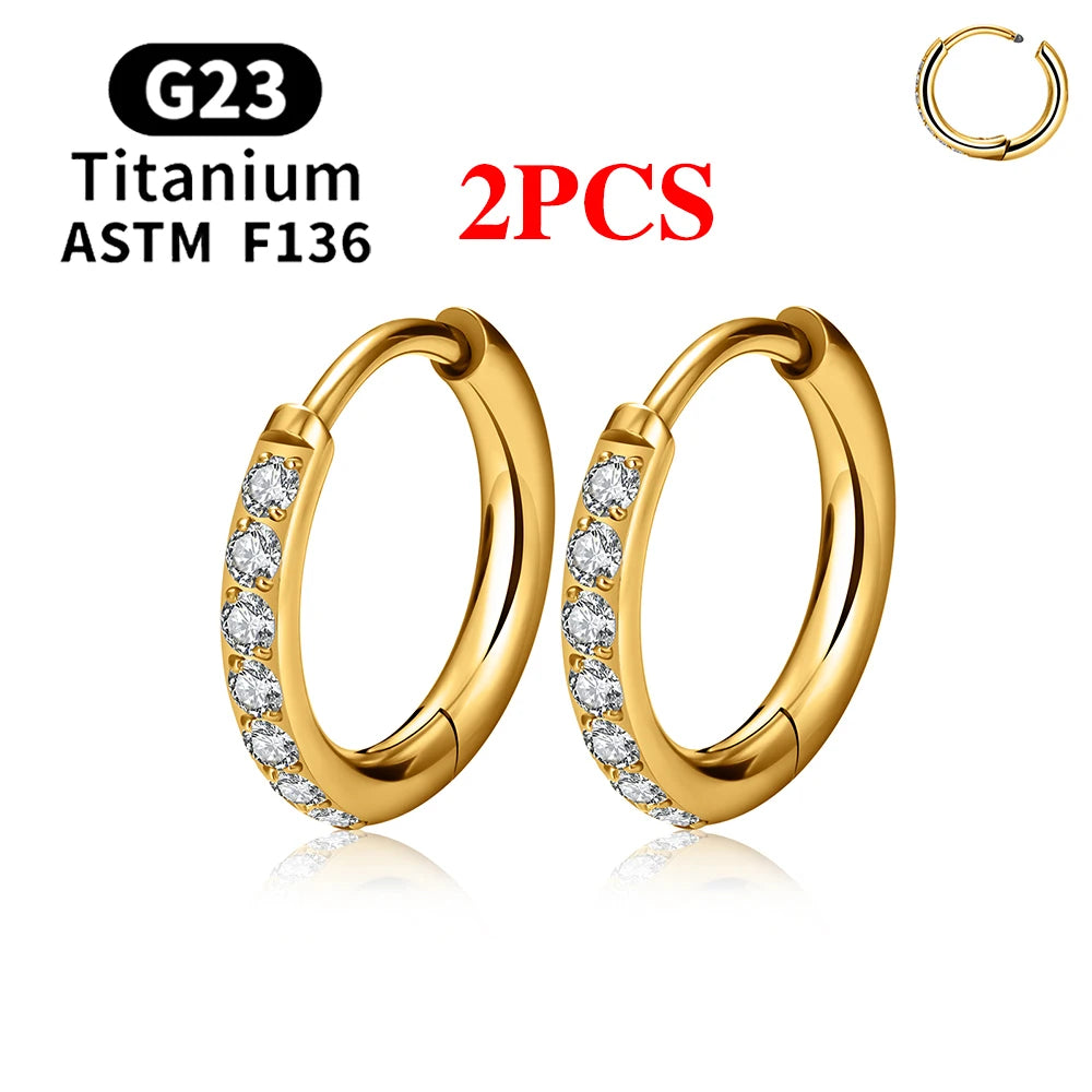 G23 Titanium Hoop Earrings CZ Hinged Segment Round Nose Ring for Women Ear Tragus Cartilage Helix Daith Piercing Jewelry